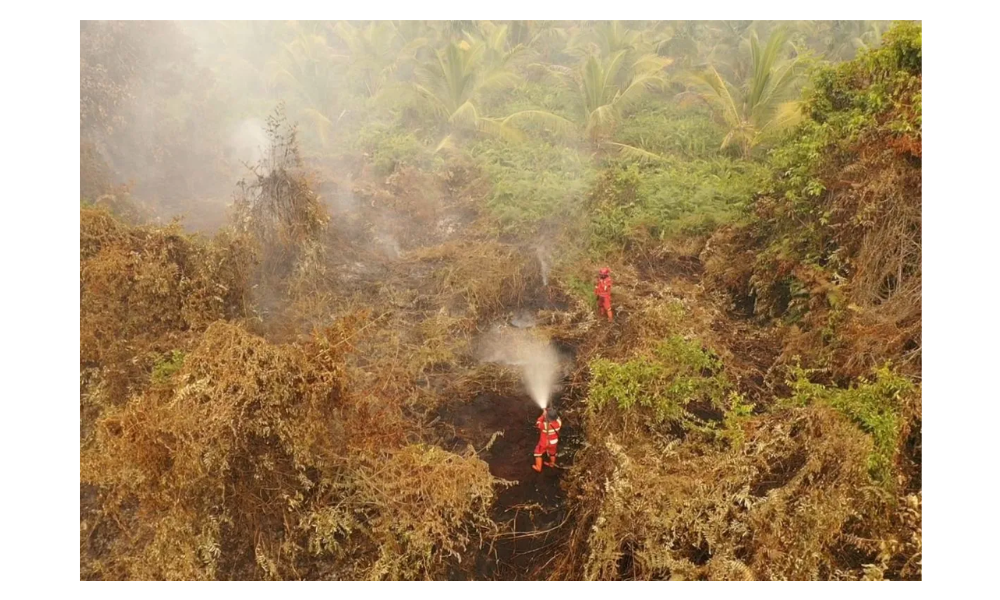 Manggala Agni Padamkan Karhutla 60 Hektare di Pelalawan, Asap Tebal Masih Selimuti Lokasi