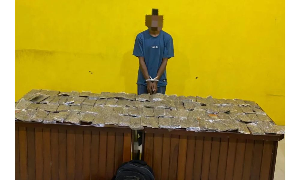 Polresta Sorong Gagalkan Peredaran 4,8 Kilogram Ganja, Satu Tersangka Ditangkap