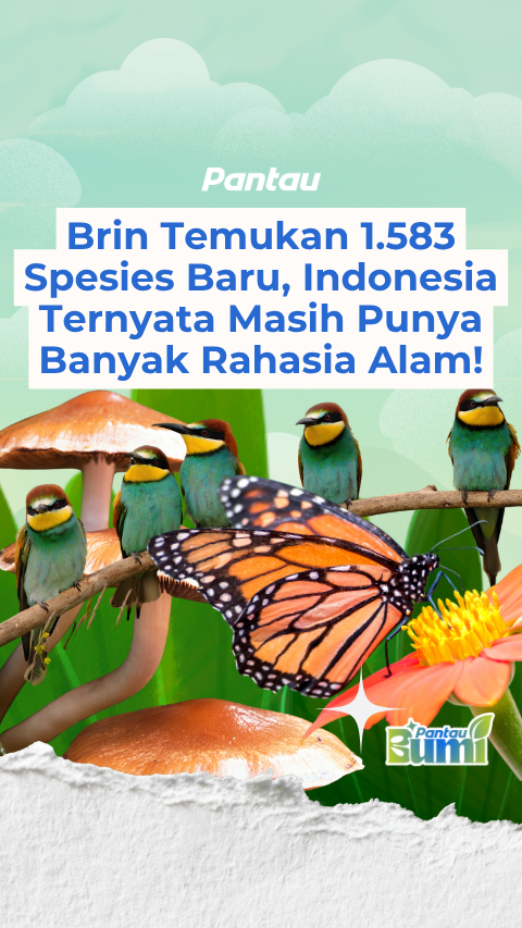 BRIN TEMUKAN 1.583 SPESIES BARU, INDONESIA TERNYATA MASIH PUNYA BANYAK RAHASIA ALAM!