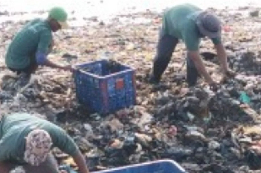 Pemkot Jakarta Utara Kerahkan 35 Personel Gabungan Percepat Pembersihan Tumpukan Sampah di Pesisir Muara Angke