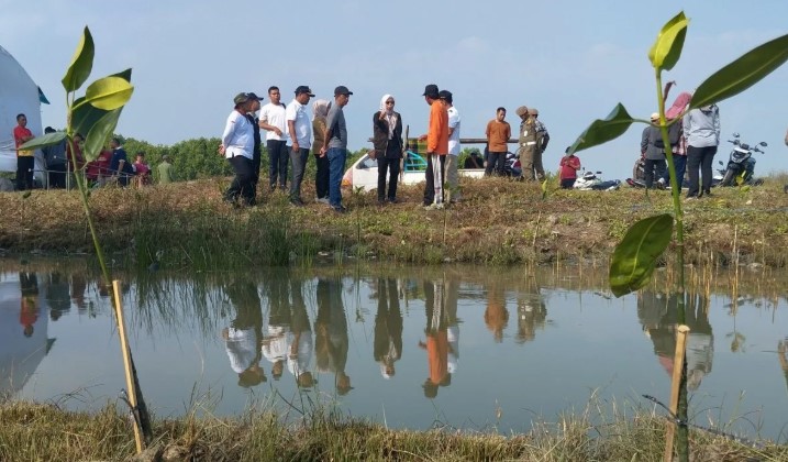 Pemkab Demak Tanam 1.500 Bibit Mangrove untuk Kurangi Abrasi dan Dampak Banjir Rob