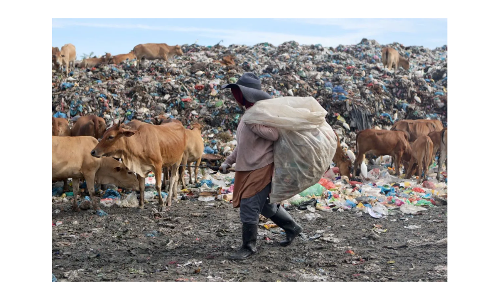 Tingkat Pengelolaan Sampah Indonesia Naik Jadi 24,95 Persen, Volume Limbah Masih Jadi Tantangan