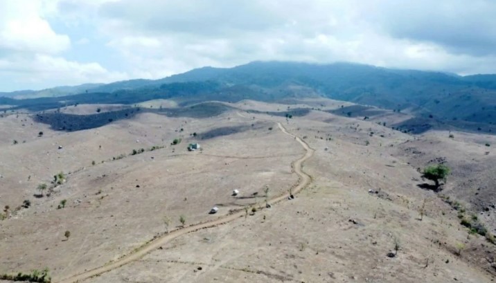 Deforestasi dan Ekspansi Jagung Jadi Alarm Pemulihan Lanskap