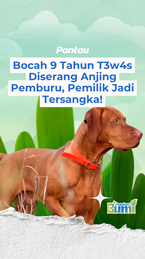 BOCAH 9 TAHUN TEWAS DISERANG ANJING