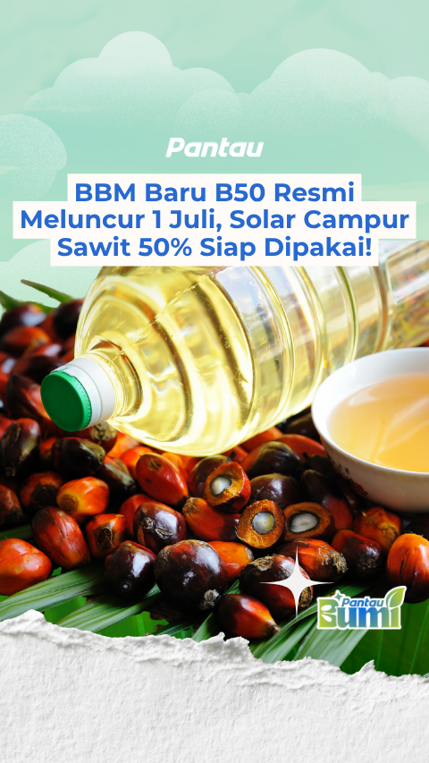 BBM BARU B50 RESMI MELUNCUR 1 JULI, SOLAR CAMPUR SAWIT