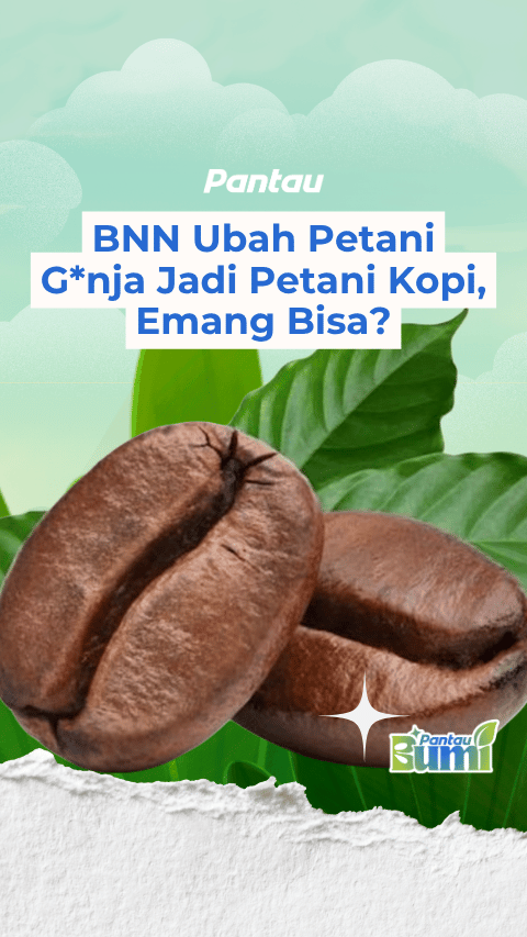BNN UBAH PETANI GANJA JADI PETANI KOPI, EMANG BISA?