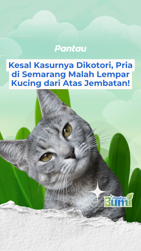 PRIA DI SEMARANG LEMPAR KUCING DARI ATAS JEMBATAN
