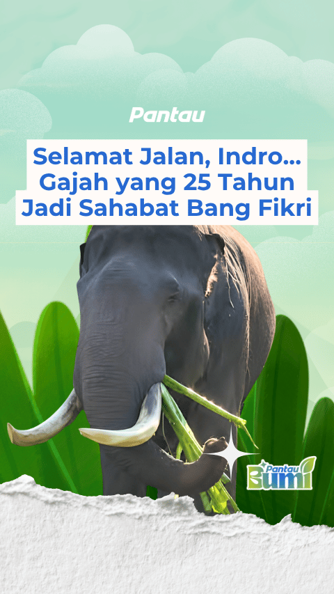 SELAMAT JALAN INDRO