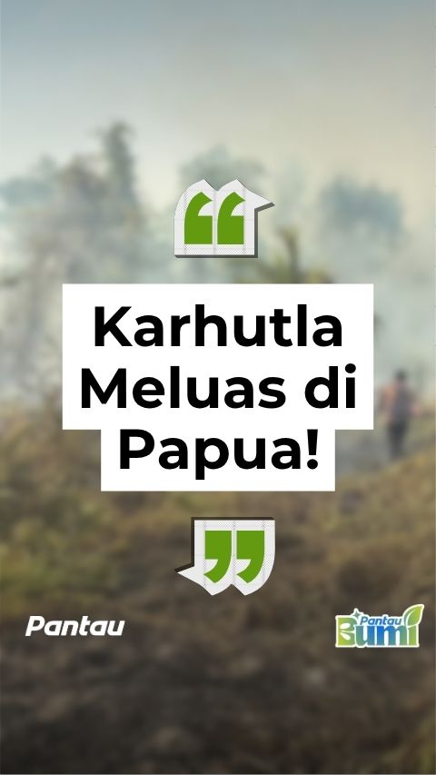 KARHUTLA MELUAS DI PAPUA