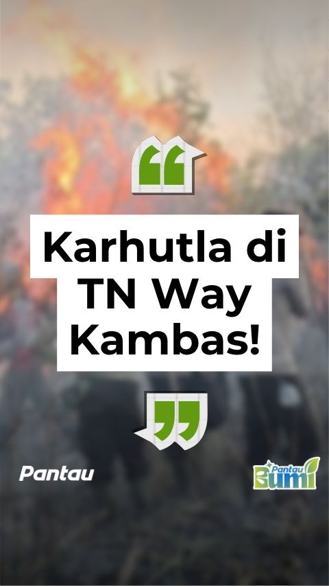 KARHUTLA DI TN WAY KAMBAS