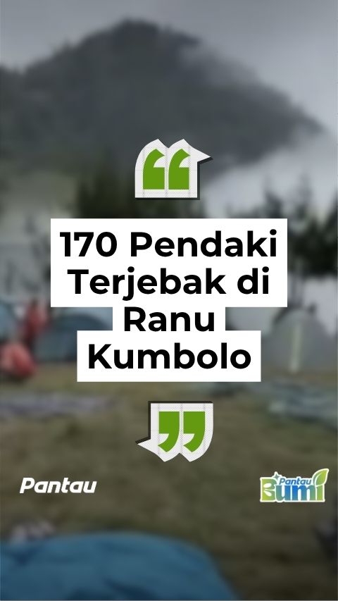 170 PENDAKI TERJEBAK DI RANU KUMBOLO