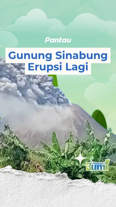 GUNUNG SINABUNG ERUPSI LAGI