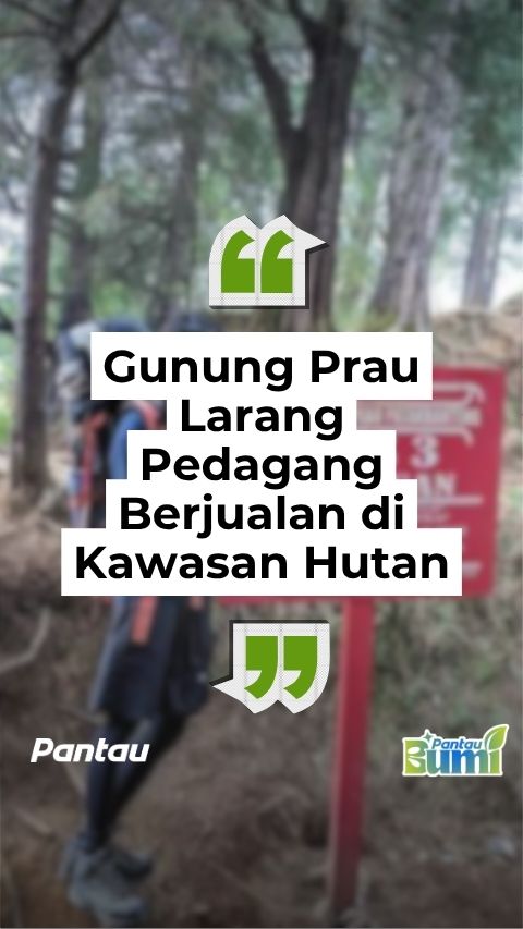 GUNUNG PRAU LARANG PEDAGANG BERJUALAN DI KAWASAN HUTAN