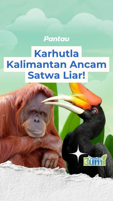 KARHUTLA KALIMANTAN ANCAM SATWA LIAR