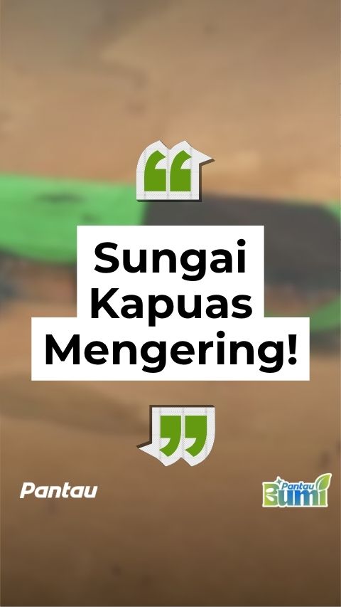 SUNGAI KAPUAS MENGERING