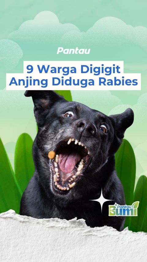 9 WARGA DIGIGIT ANJING DIDUGA RABIES