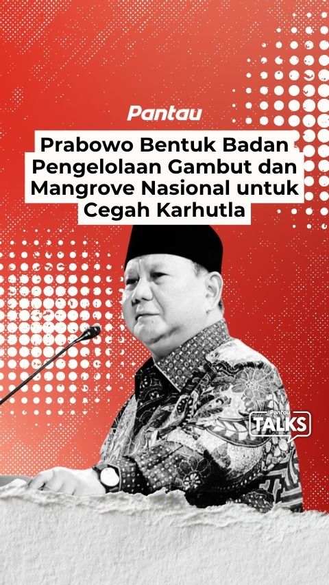 PRABOWO BENTUK BADAN PENGELOLAAN GAMBUT DAN MANGROVE NASIONAL UNTUK CEGAH KARHUTLA