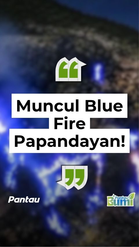 MUNCUL BLUE FIRE PAPANDAYAN