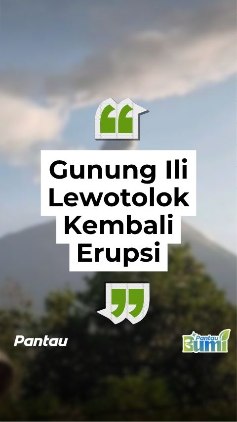 GUNUNG ILI LEWOTOK KEMBALI ERUPSI