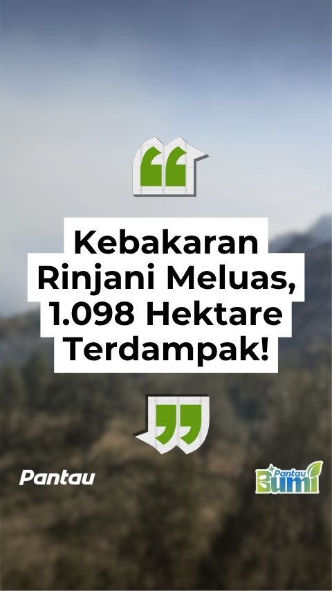 KEBAKARAN RINJANI MELUAS