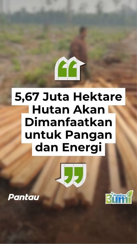 5,67 JUTA HEKTARE HUTAN AKAN DIMANFAATKAN UNTUK PANGAN DAN ENERGI