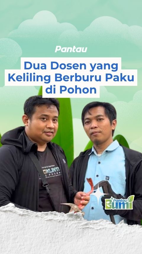 DUA DOSEN YANG KELILING BERBURU PAKU DI POHON