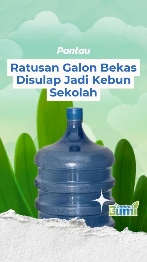 RATUSAN GALON BEKAS DISULAP JADI KEBUN SEKOLAH