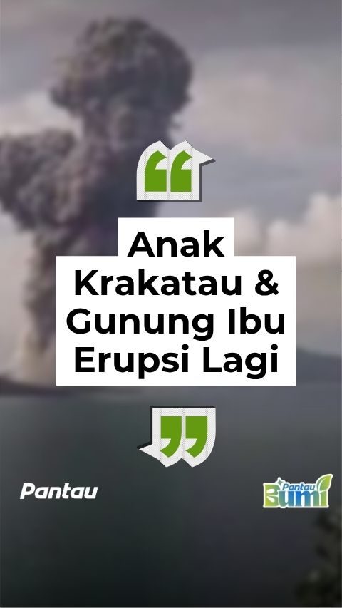 ANAK KRAKATAU DAN GUNUNG IBU ERUPSI LAGI