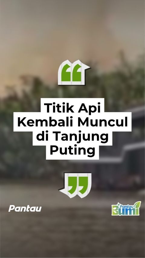 TITIK API KEMBALI MUNCUL DI TANJUNG PUTING