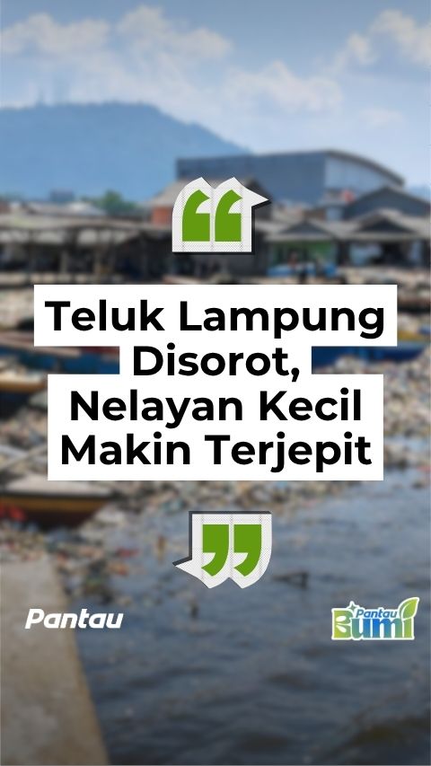 TELUK LAMPUNG DISOROT
