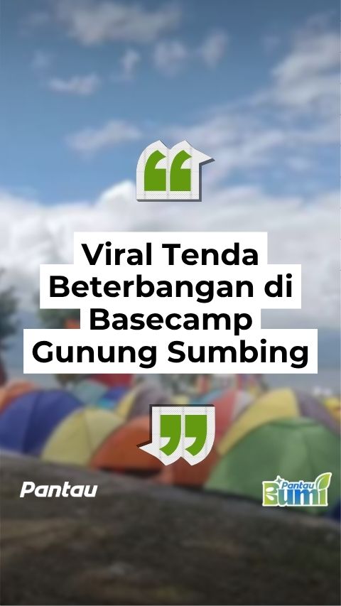 VIRAL TENDA BETERBANGAN DI BASECAMP GUNUNG SUMBING