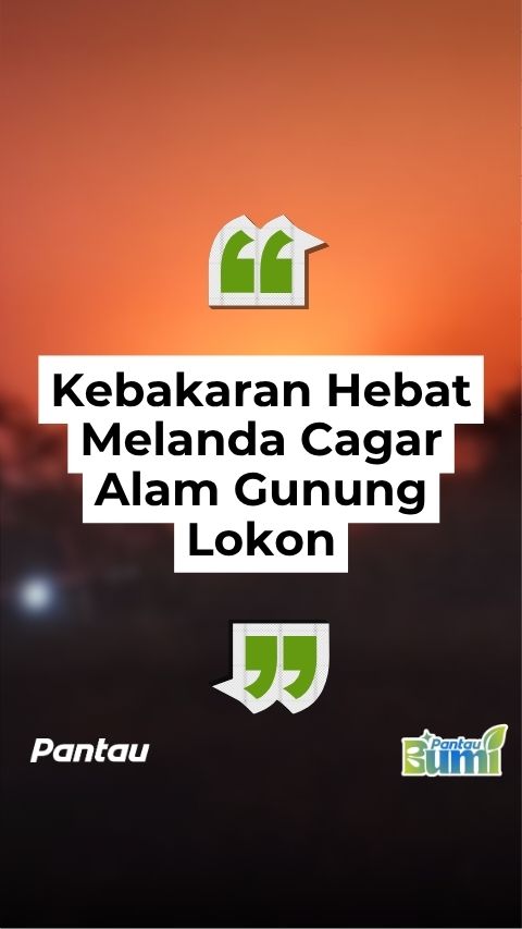 KEBAKARANG HEBAT MELANDA CAGAR ALAM GUNUNG LUKON