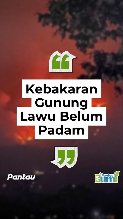 KEBAKARAN GUNUNG LAWU BELUM PADAM
