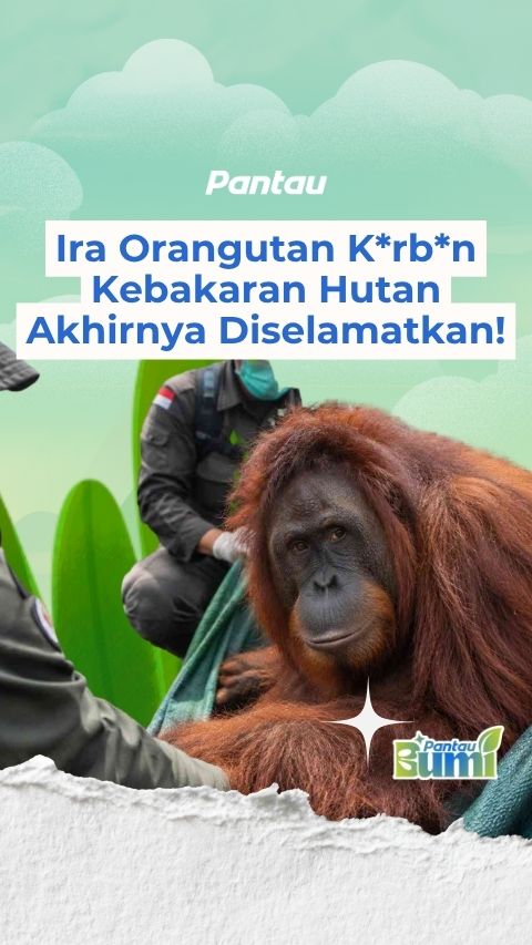 IRA ORANGTUA KORBAN KEBAKARAN HUTAN AKHIRNYA DISELAMATKAN