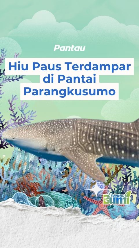 HIU PAUS TERDAMPAR