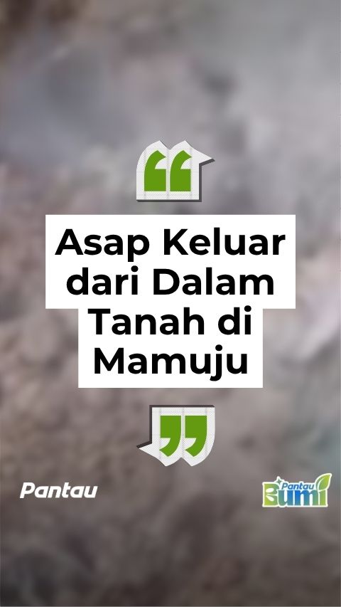 ASAP KELUAR DARI DALAM TANAH DI MAMUJU
