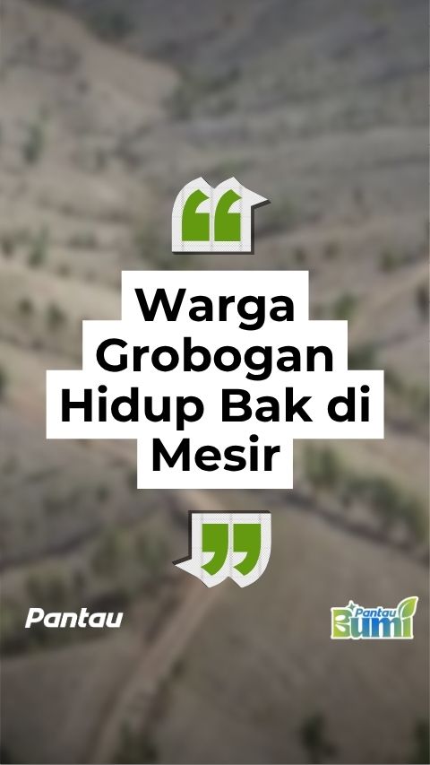 WARGA GROBOGAN HIDUP BAK DI MESIR