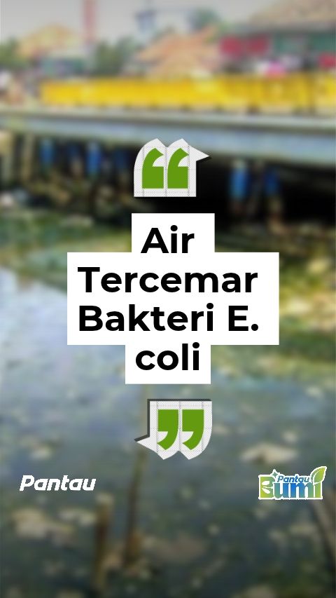 AIR TERCEMAR BAKTERI E.COLI