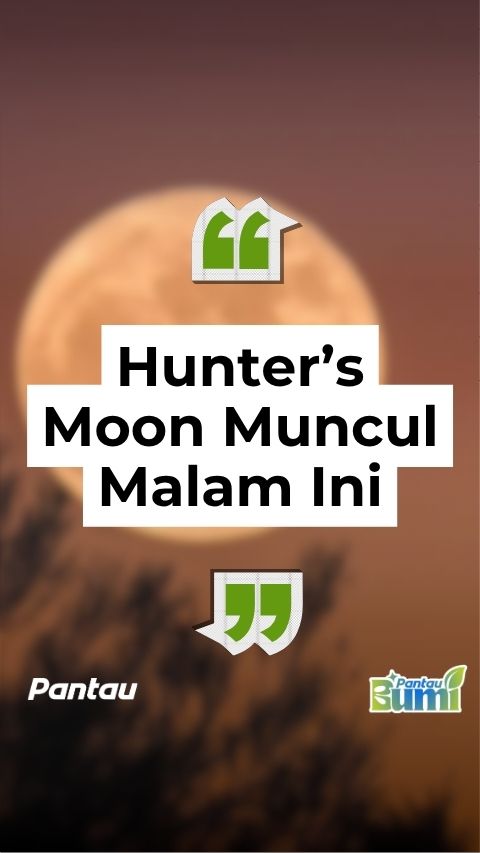HUNTER MION MUNCUL MALAM INI